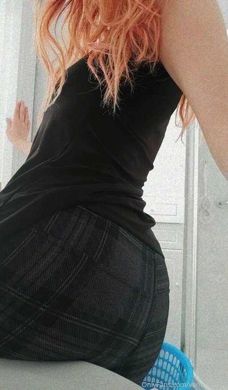 Vannesita21