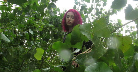 Lylacdoll