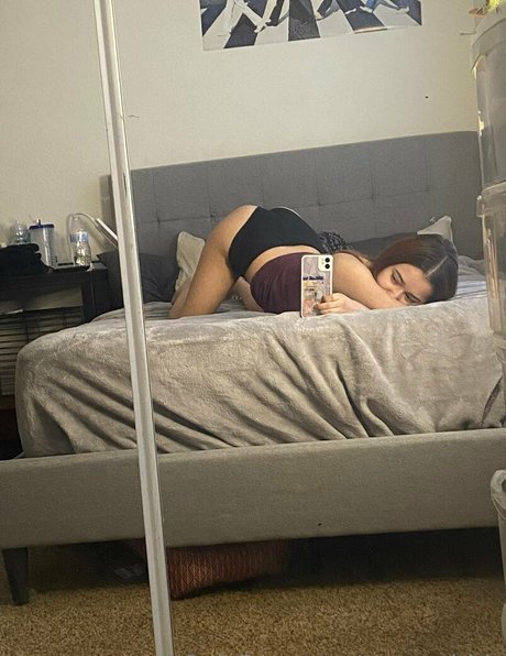 Tinyrissy