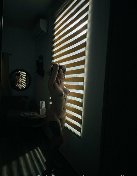 Rosamagnoliaxo