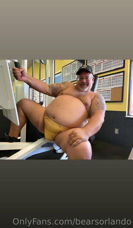 Bearsorlando