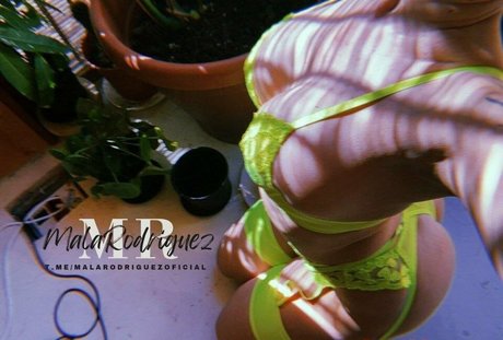 Mala Rodriguez OnlyFans 유출 누드 사진