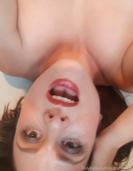 Aussielilyfox