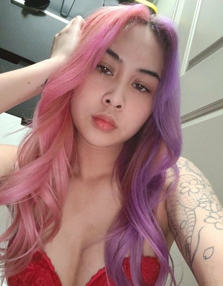 Elabunny
