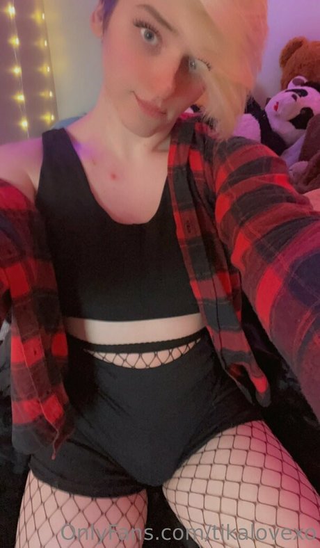 Tikalovexo