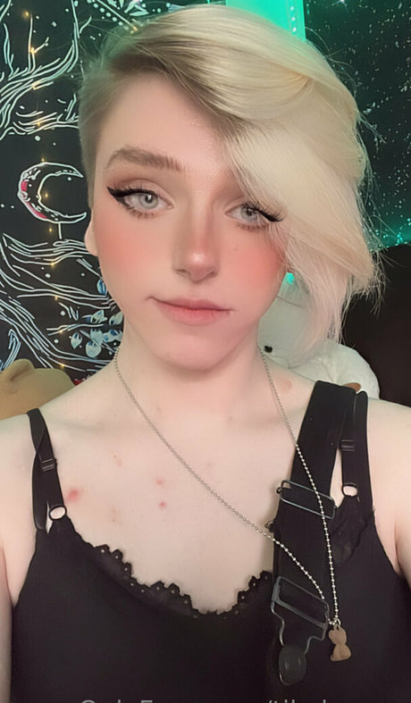 Tikalovexo
