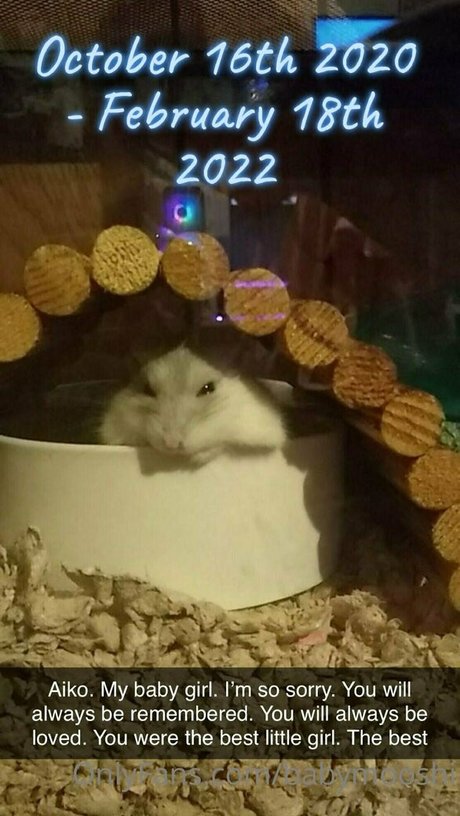 Babymooshi