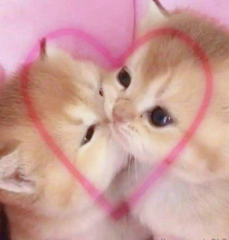 Smoll_n_sweet_2k2