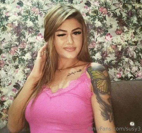 Susy3