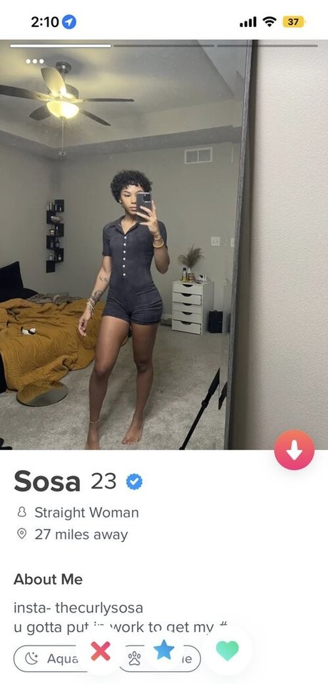 Baecia