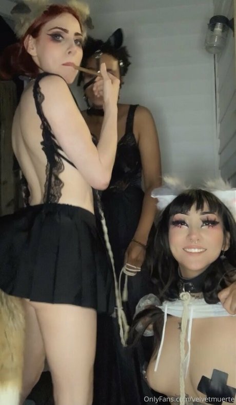 Velvetmuerte