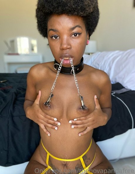 Thenovapandafree