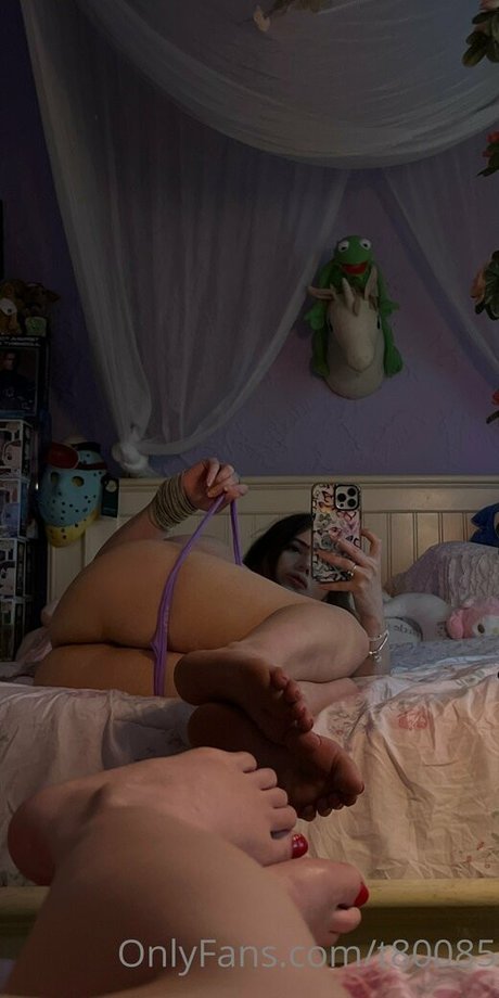 Vanessinator