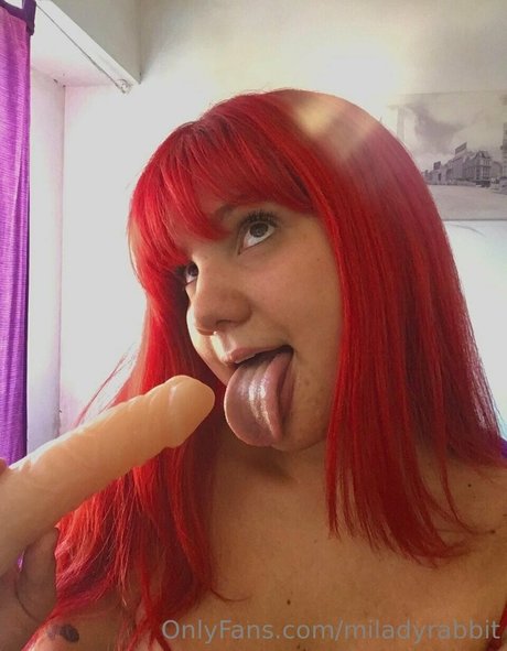 Miladyrabbit