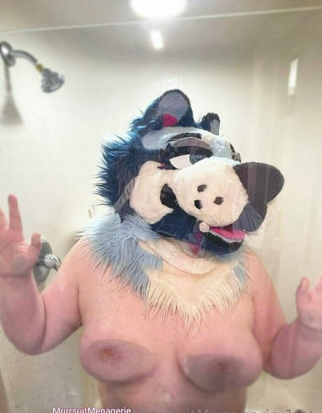 Murrsuitmenagerie