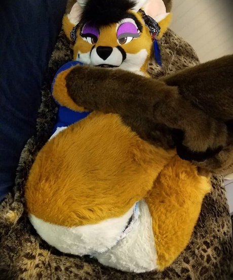 Murrsuit
