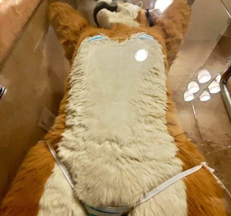 Murrsuit
