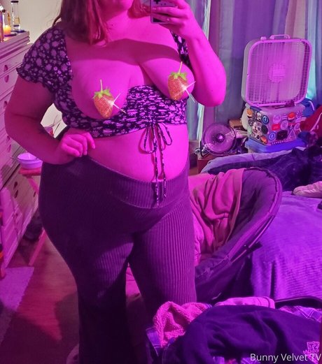 Bunnyvelvettvfree