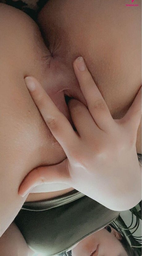 Vansen