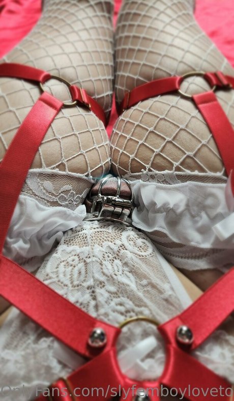Slyfemboylovetoy