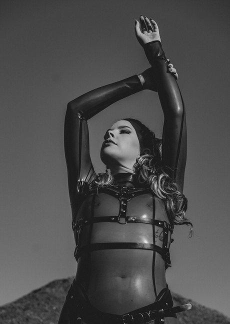 Latex_fox
