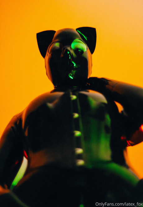 Latexfox