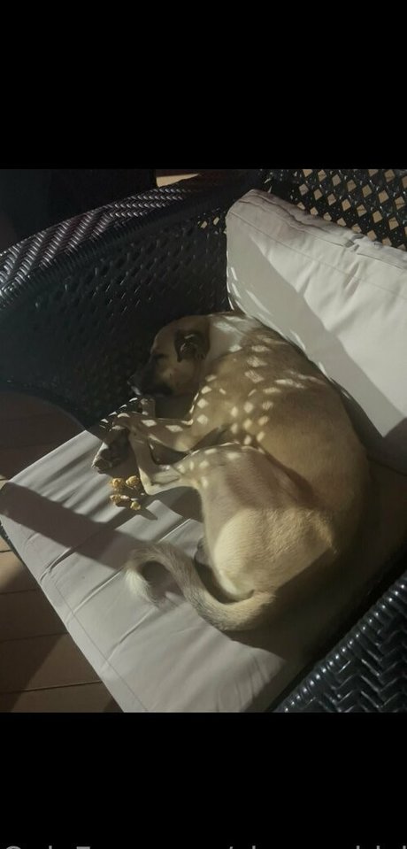 Sleepychick11