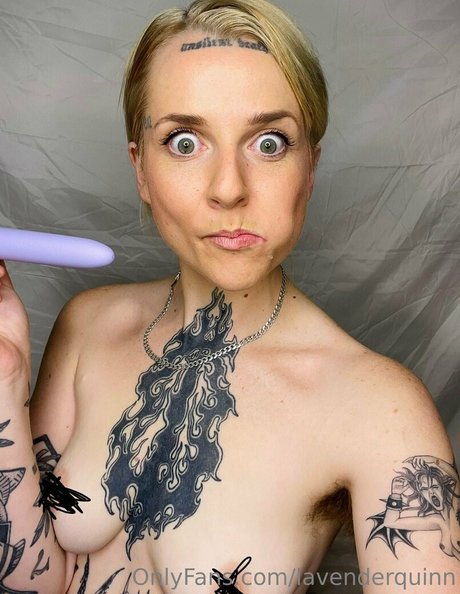 Lavenderquinn