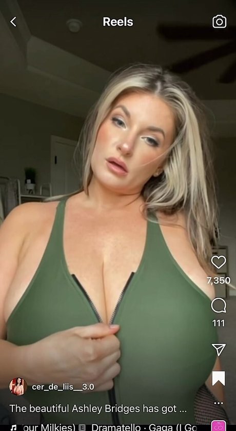 Ashleybridges