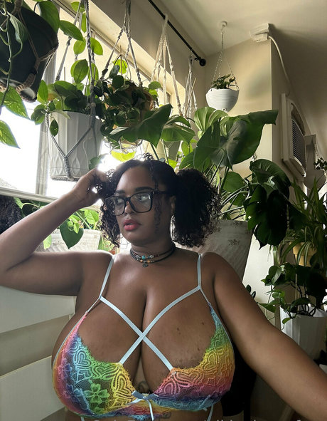 Nikkydunesfree