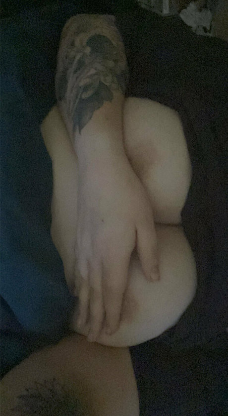 Estellevirgo