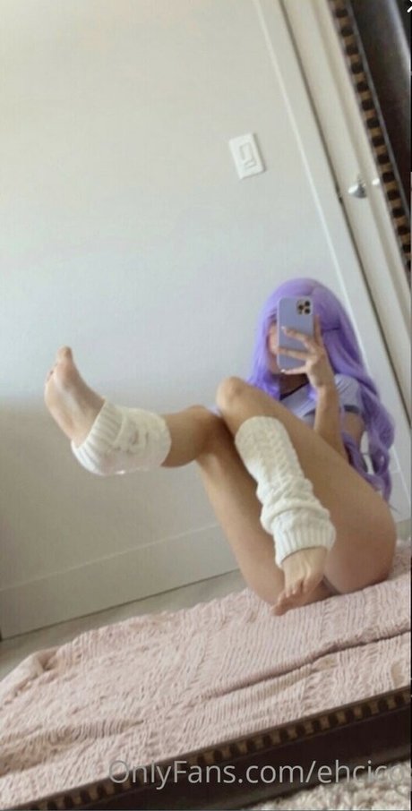 Ehcico
