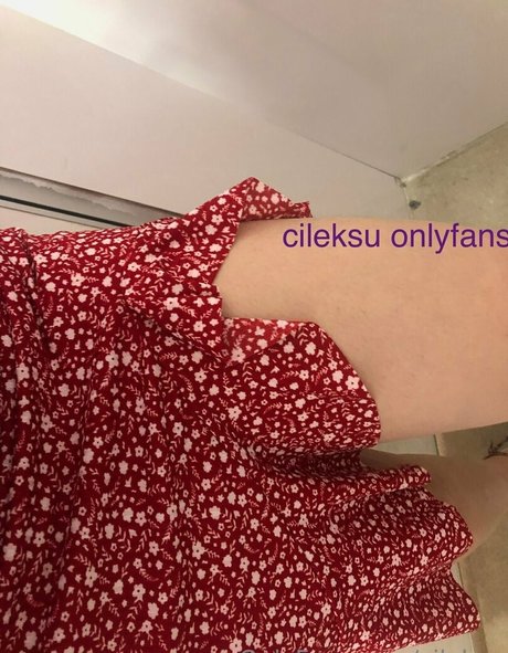Naken lekkede OnlyFans-bilde av Cileksu