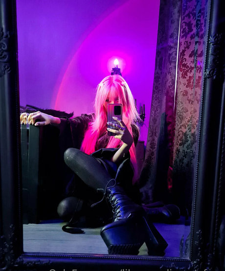 Lilyangeliccatfree