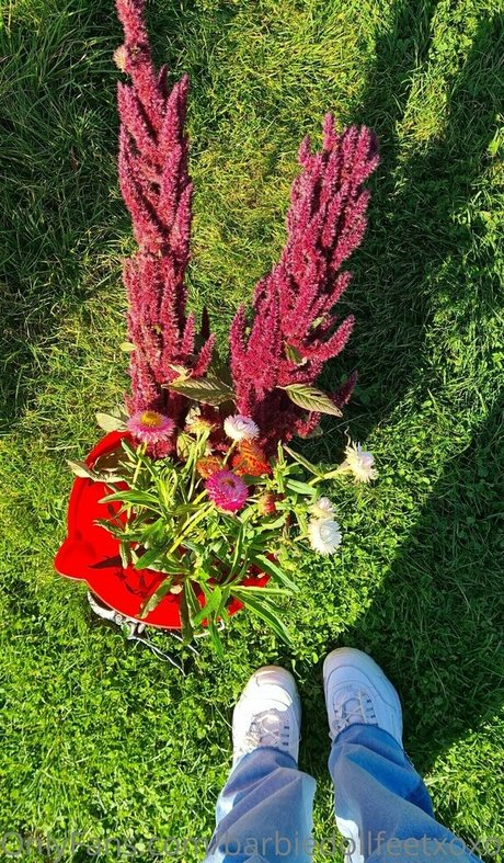 Barbiedollfeetxoxofree