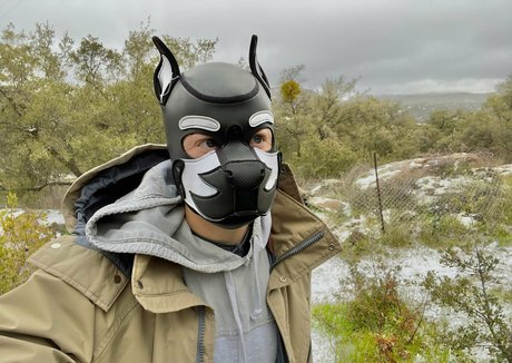 Pupkurt