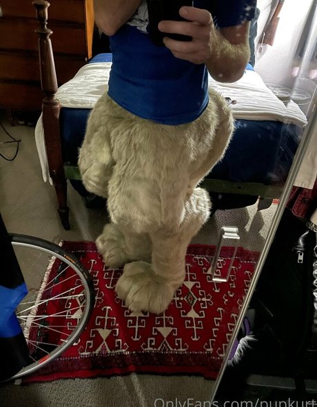 Pupkurt