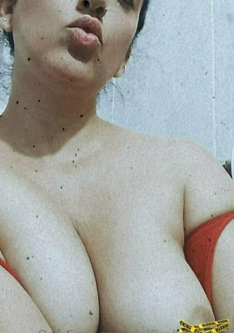 Delfisebastiani1