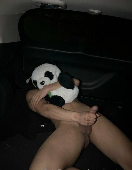 Pandas_lover