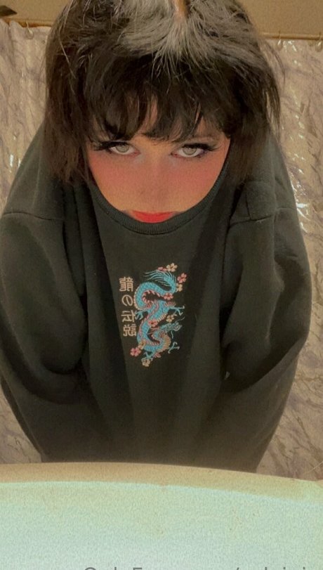 Sylvipix