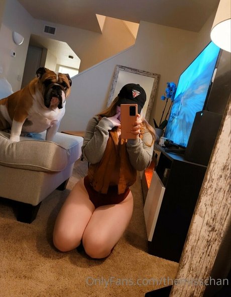 Themisschan