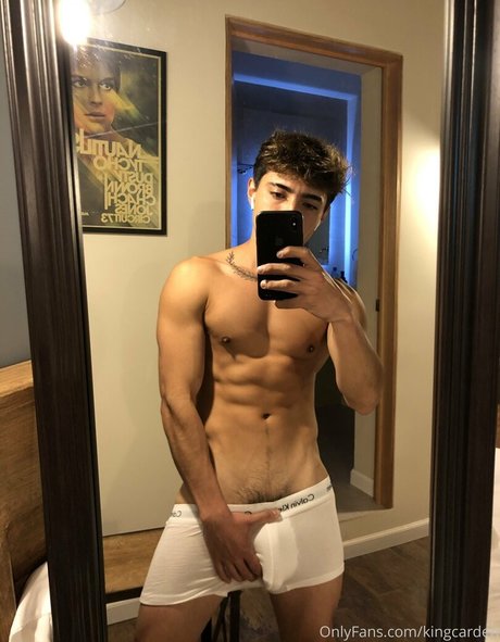 Aedanvip