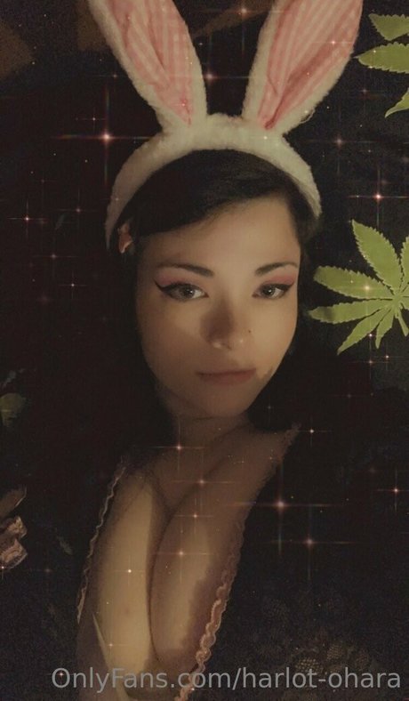 Обнаженная фотография утечки OnlyFans от Harlotohara