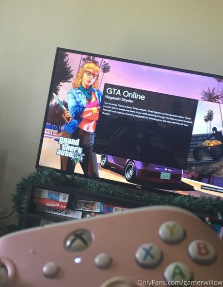 Gamerwillow