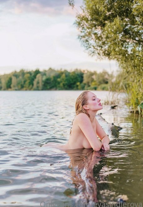 Evasindlerova