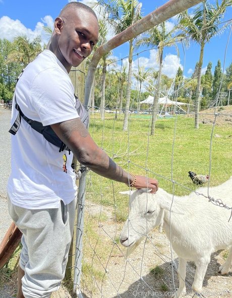 Freestylebender