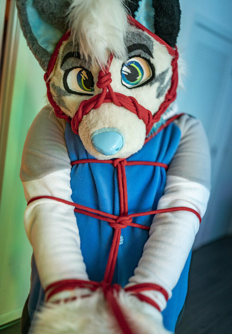 Addragonwolf