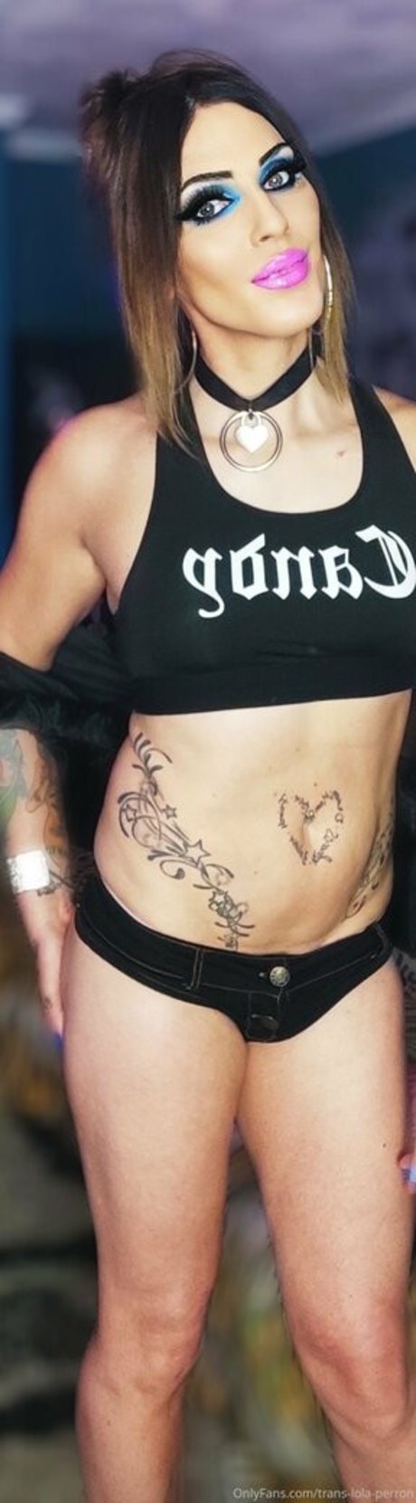 Translolaperron  nude leaked OnlyFans photo