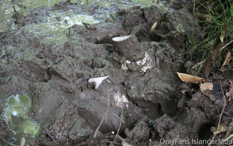 Islandermud