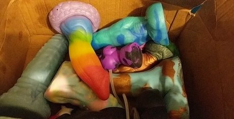 Zadyastoybox